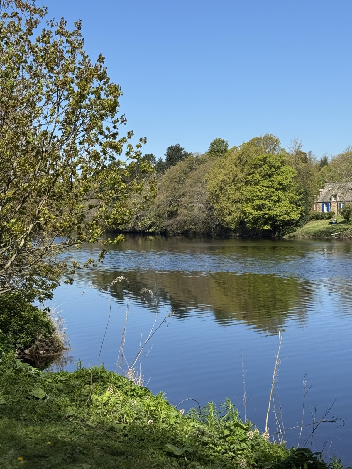 Riverside view used for outdoor walk and talk sessions